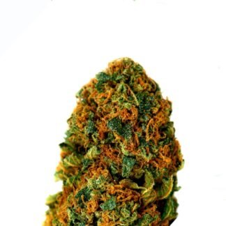 BubbleGum