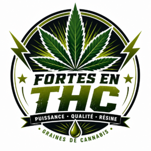 graines cannabis fortes en THC Quebec