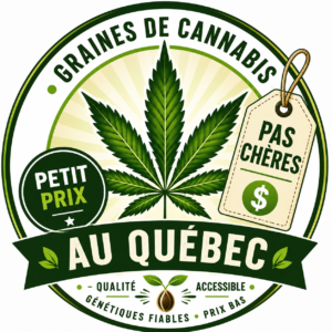 Graines de Cannabis Pas Chères au Québec