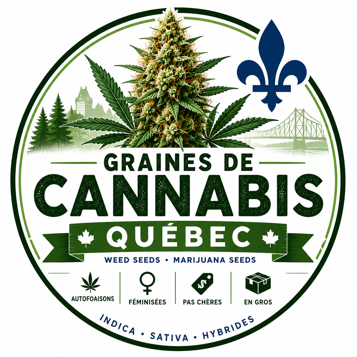 Graines de cannabis Weed Seeds Québec