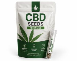 graines cbd quebec