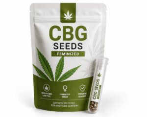graines CBG Quebec