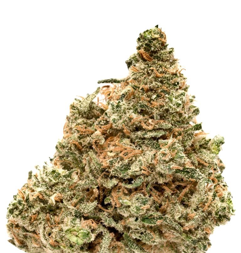 Jamaica Special