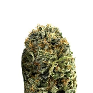 Afghan Kush Auto