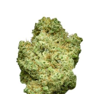 Bruce Banner XL