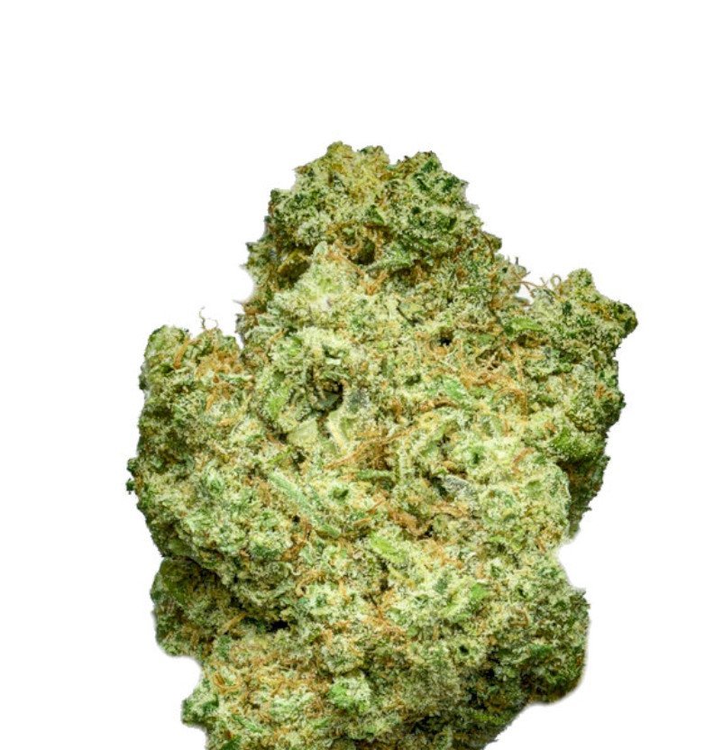 Bruce Banner XL