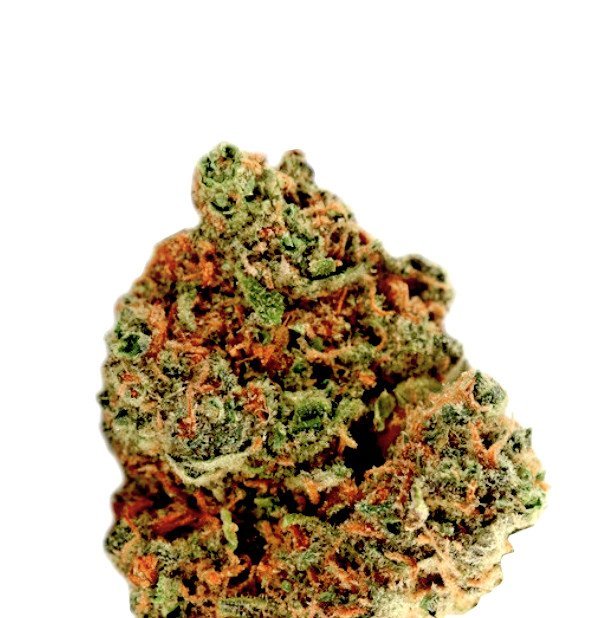 California Skunk