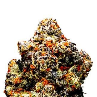 Monster Cookies Auto
