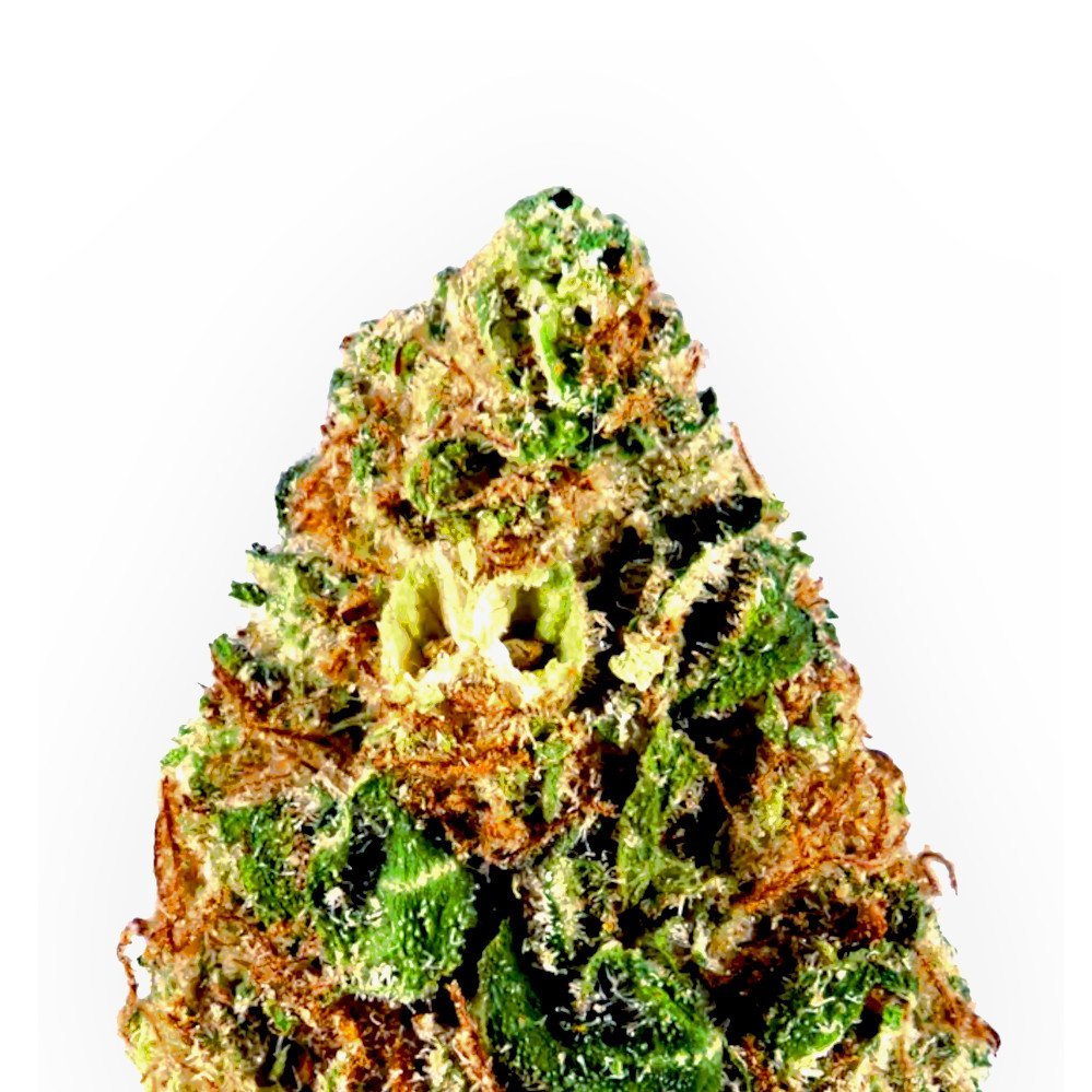 Critical Kush