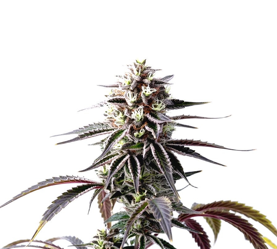 Death Star