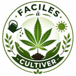 cannabis facile a cultiver au Quebec