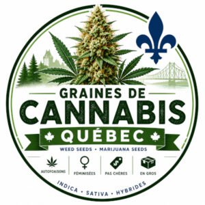 Graines cannabis quebec