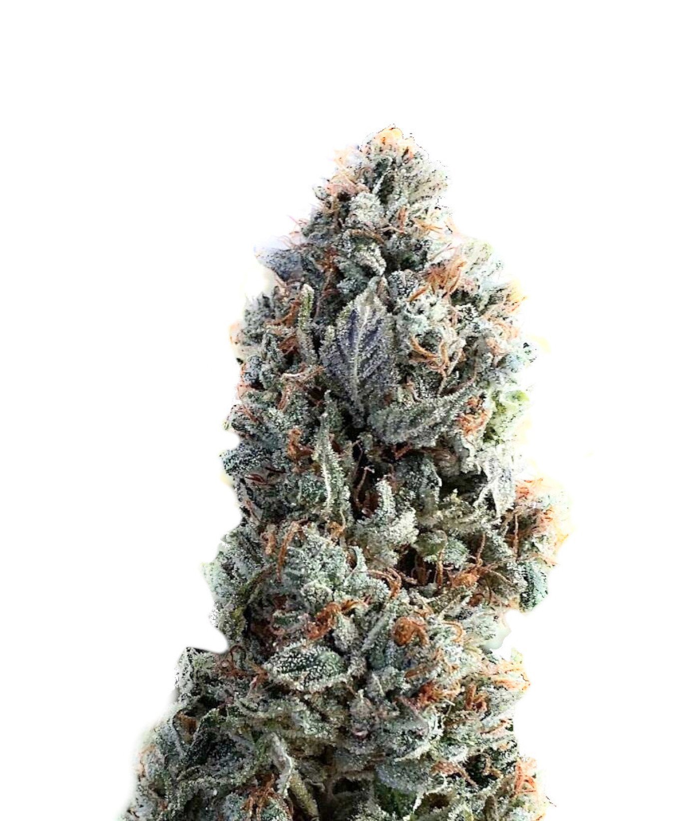 Ice