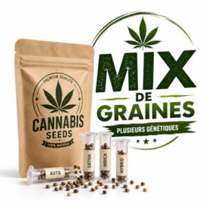 mix de graines de cannabis quebec