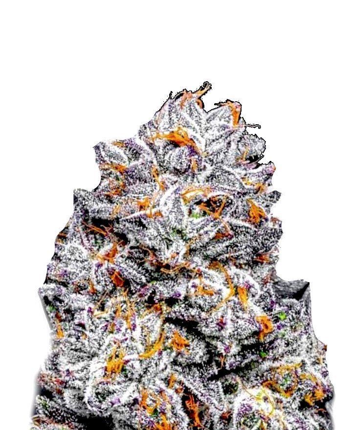 Sunset Sherbet