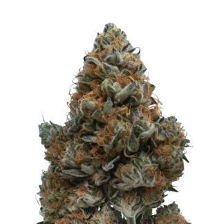 Tangerine